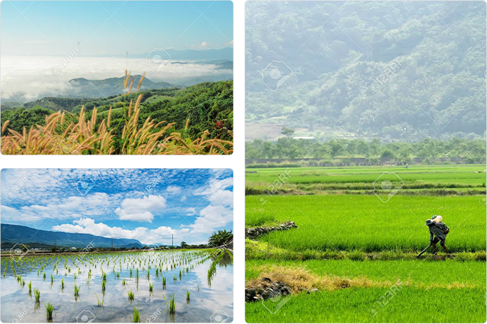 宜蘭冬山田野與山景